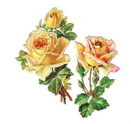 rose decoupage